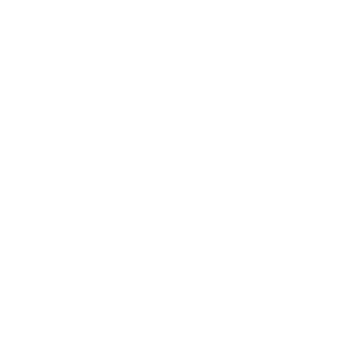 SALOMON Tomorrow is Yours
